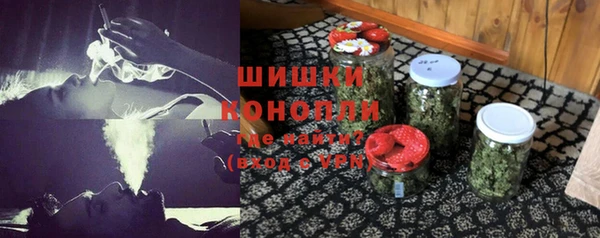 spice Кодинск