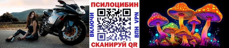 Галлюциногенные грибы Magic Shrooms  Юрга 