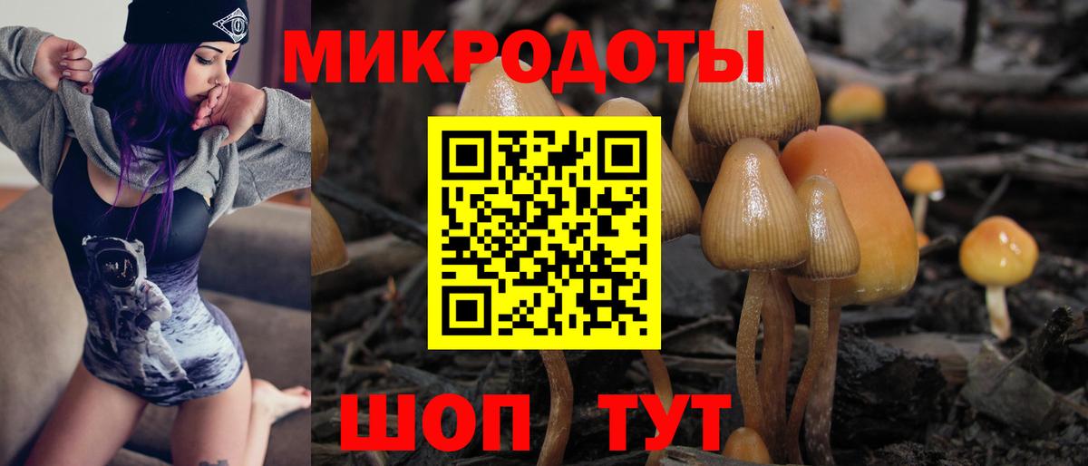 Псилоцибиновые грибы мицелий Юрга